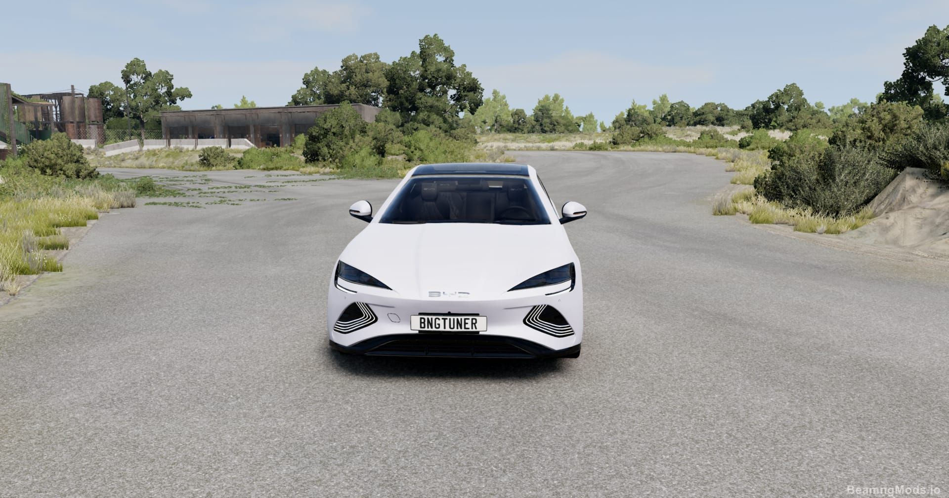 Screenshot of BYD Seal BeamNGTuner 1