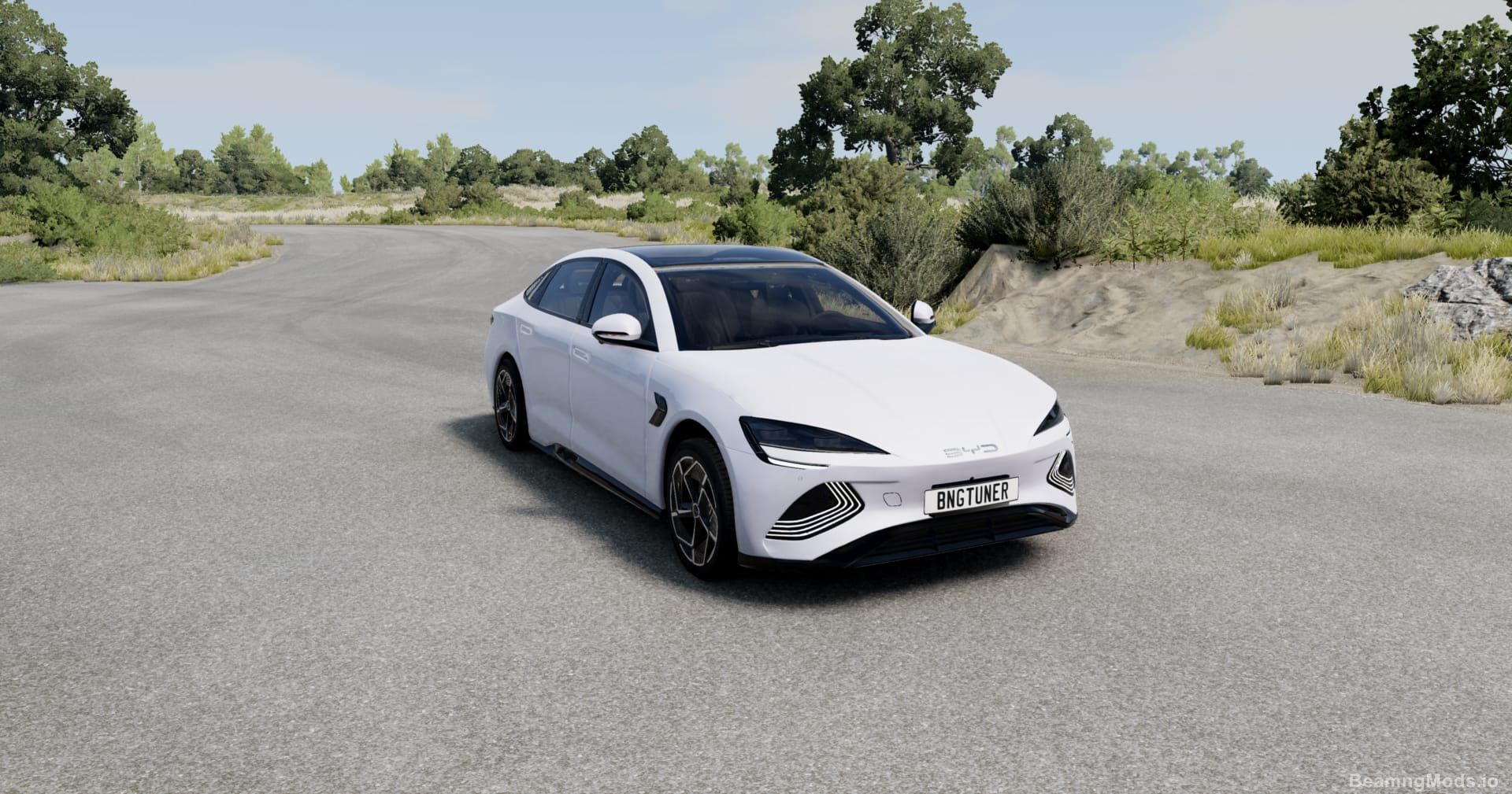 Screenshot of BYD Seal BeamNGTuner 2