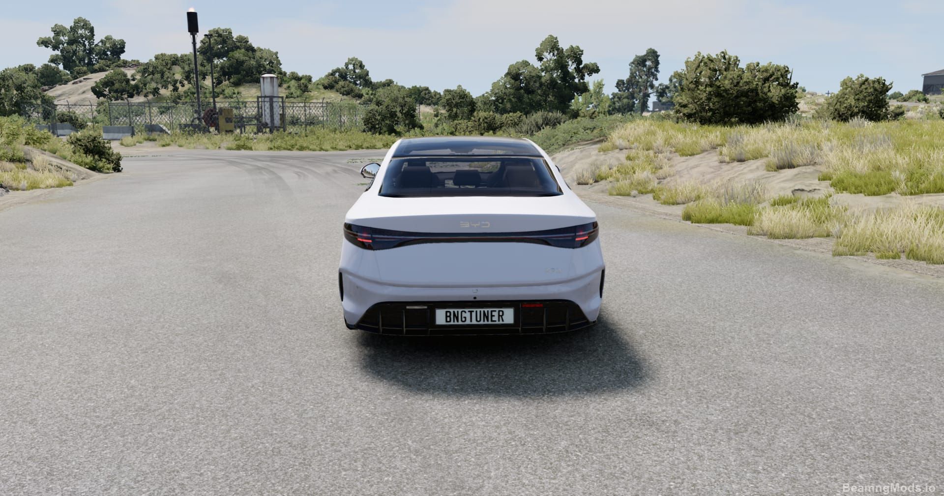 Screenshot of BYD Seal BeamNGTuner 5