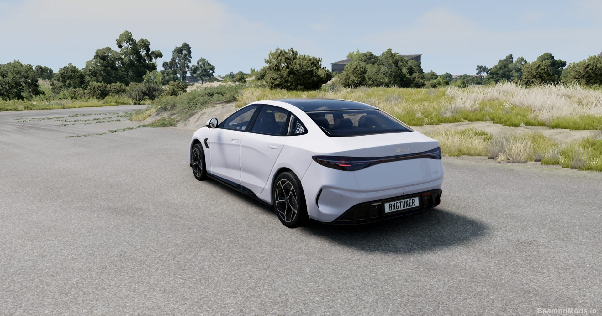 Screenshot of BYD Seal BeamNGTuner 6