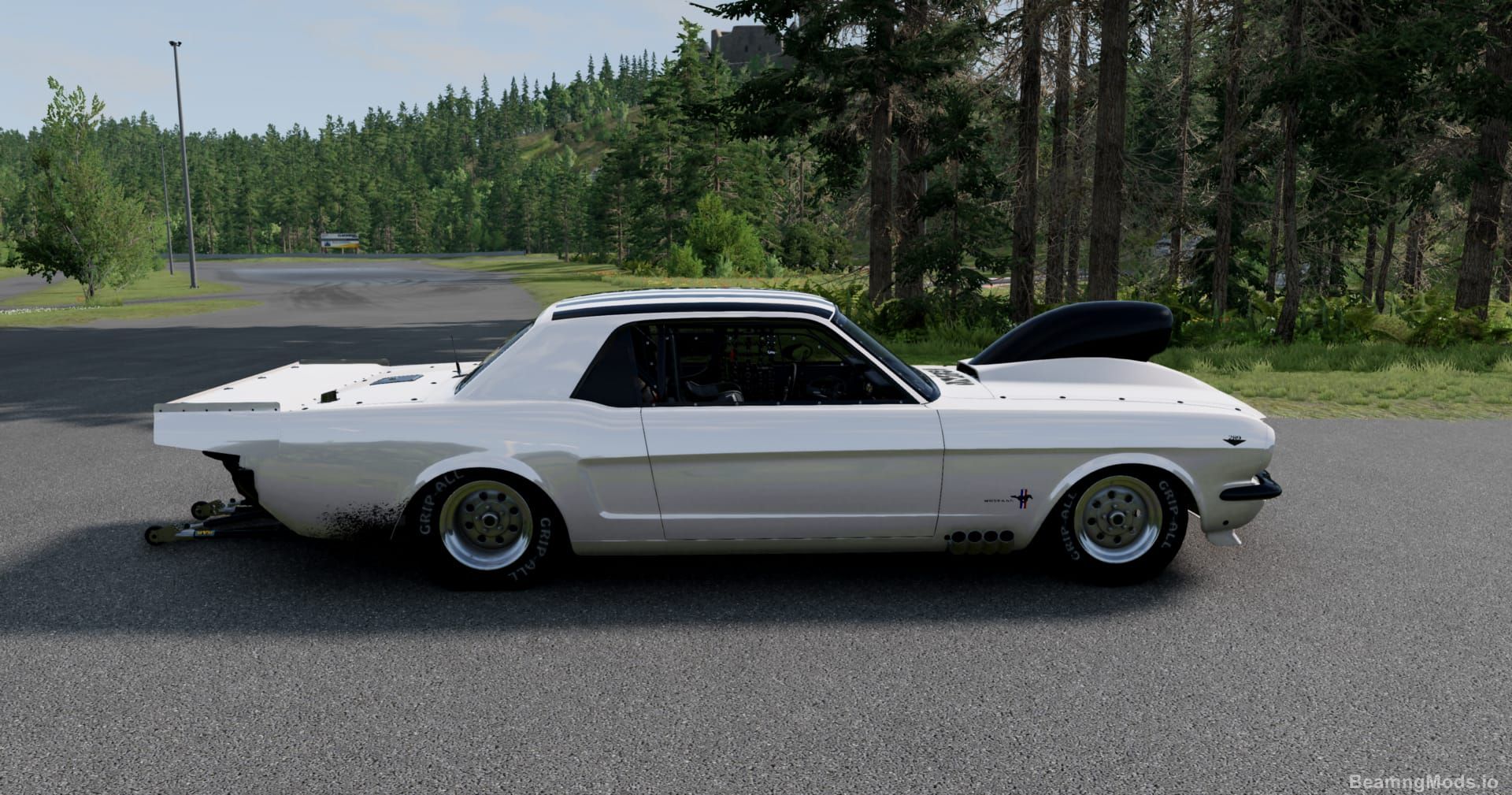 Screenshot of Half's 65 Mustang 3