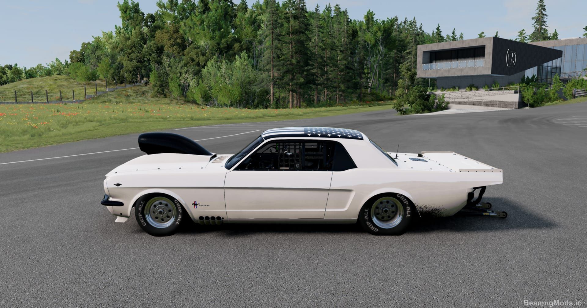 Screenshot of Half's 65 Mustang 7